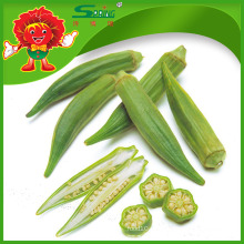 Yunnan Native Vegetables Proveedor chino de okra congelado